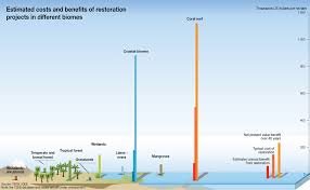 biofuel expo