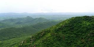 Aravali Green Wall Project